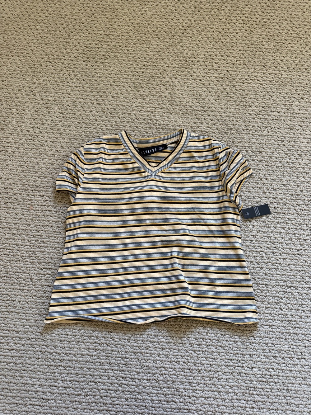 Lioness Striped V-Neck Tee in Yellow, Navy & Cream